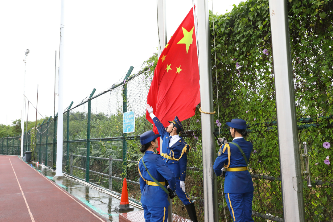 图片 图片